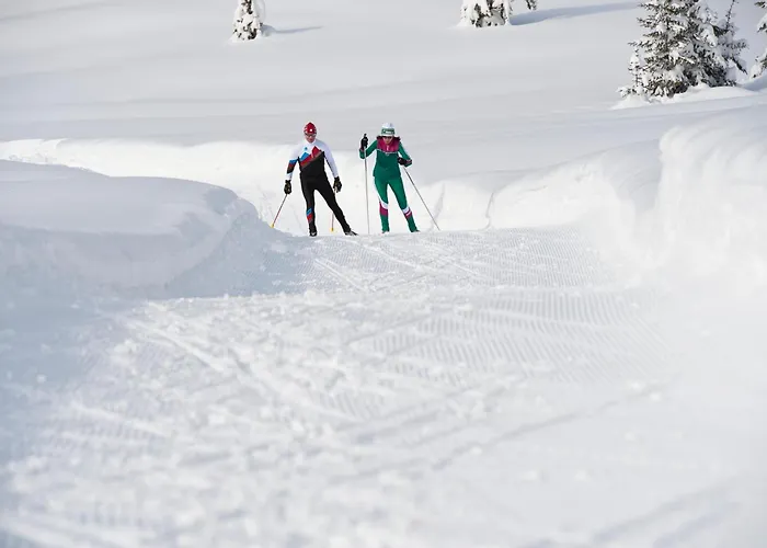 Haus Haas Ferienhaus